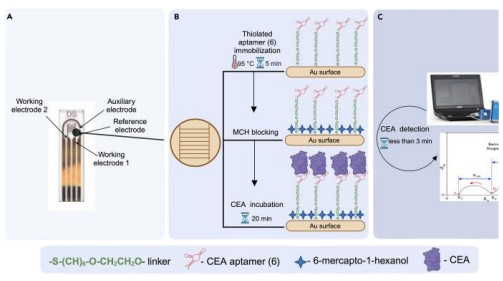 Biosensor Working Map