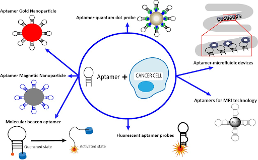 Biosensor Design