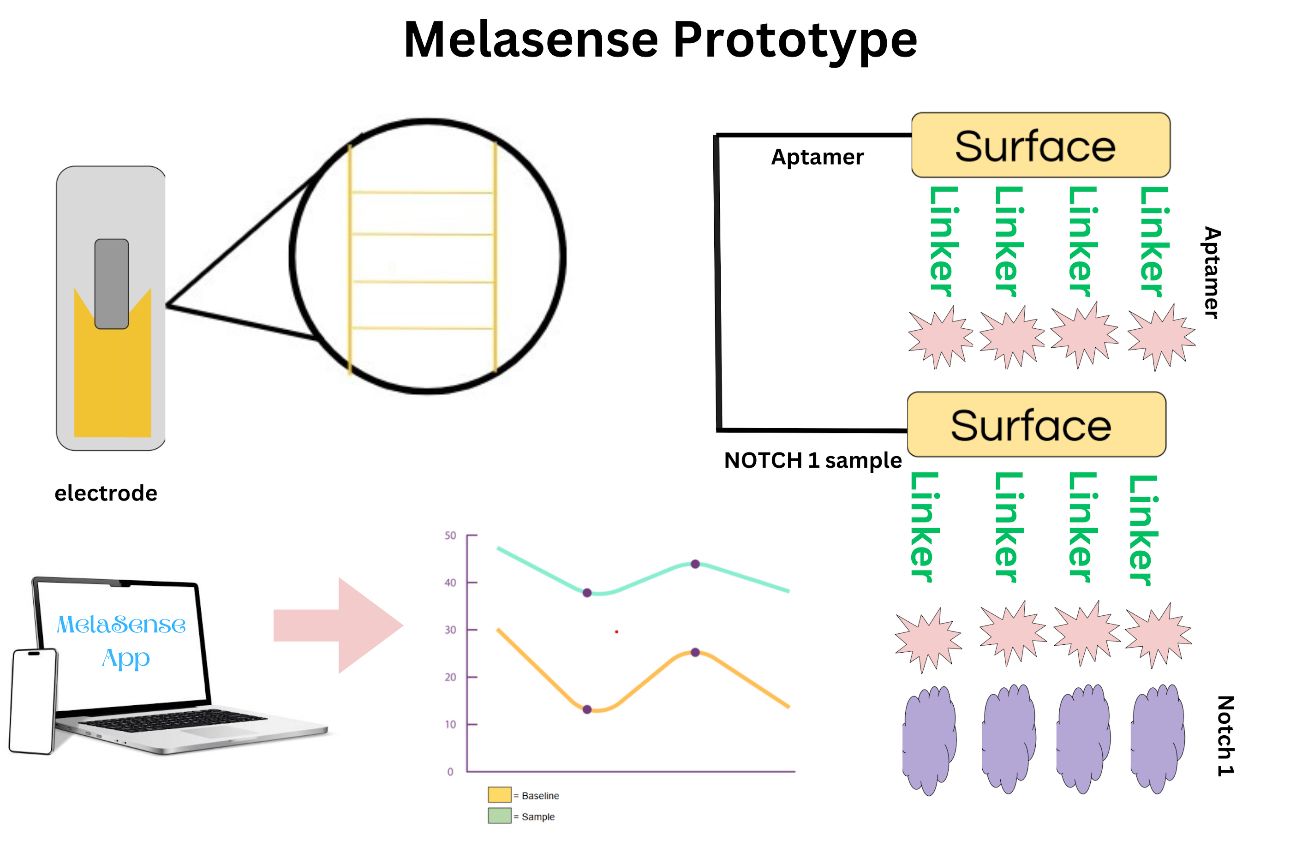 Biosensor Analytics